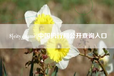 东平中国执行网公开查询入口
