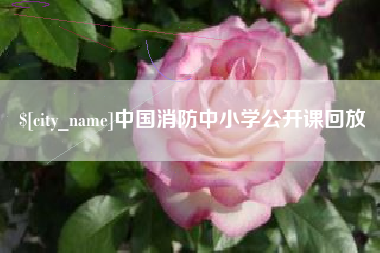 东平中国消防中小学公开课回放