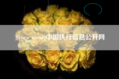 东平中国执行信息公开网