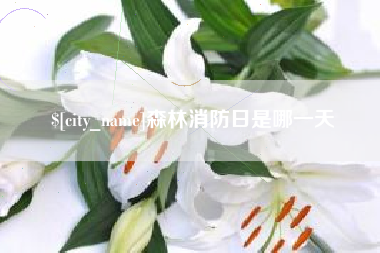 东平森林消防日是哪一天