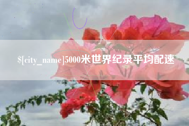 东平5000米世界纪录平均配速