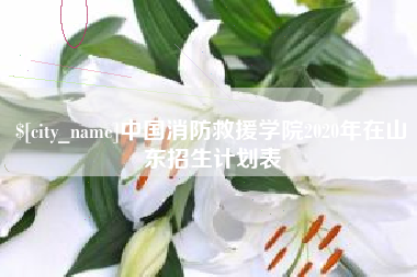 东平中国消防救援学院2020年在山东招生计划表