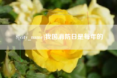 东平我国消防日是每年的