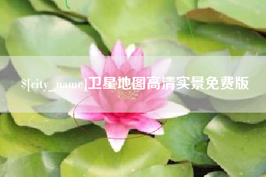 东平卫星地图高清实景免费版
