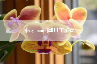 东平邱县王子磊