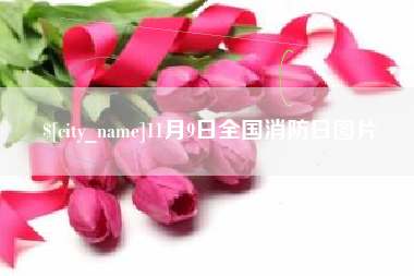 东平11月9日全国消防日图片