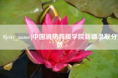 东平中国消防救援学院新疆录取分数