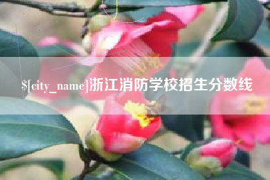 东平浙江消防学校招生分数线