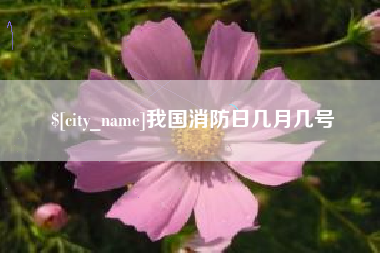 东平我国消防日几月几号