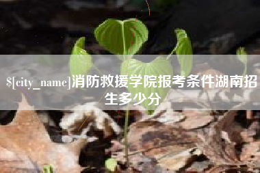 东平消防救援学院报考条件湖南招生多少分