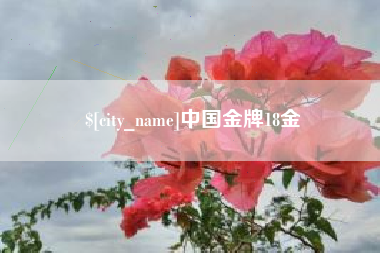 东平中国金牌18金