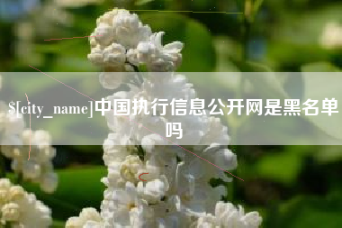东平中国执行信息公开网是黑名单吗