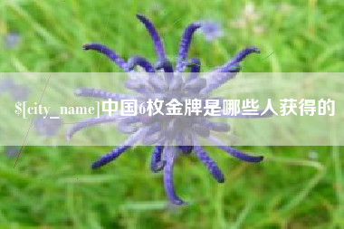 东平中国6枚金牌是哪些人获得的