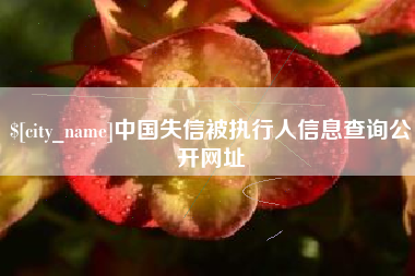 东平中国失信被执行人信息查询公开网址