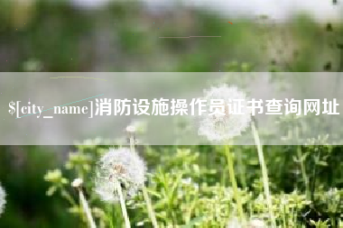 东平消防设施操作员证书查询网址