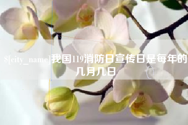 东平我国119消防日宣传日是每年的几月几日