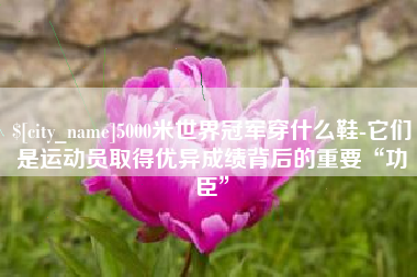 东平5000米世界冠军穿什么鞋-它们是运动员取得优异成绩背后的重要“功臣”