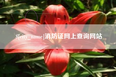 东平消防证网上查询网站