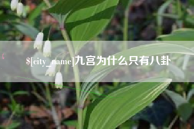 东平九宫为什么只有八卦