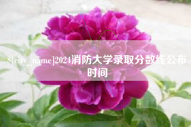 东平2024消防大学录取分数线公布时间