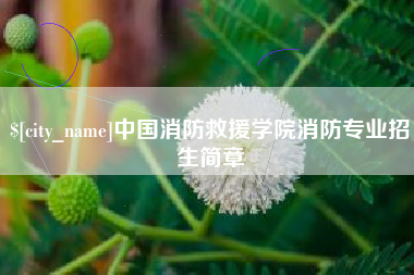 东平中国消防救援学院消防专业招生简章