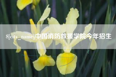 东平中国消防救援学院今年招生