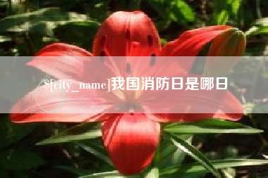 东平我国消防日是哪日