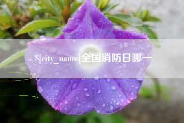 东平全国消防日哪一