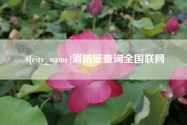 东平消防证查询全国联网