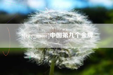 东平中国第九个金牌