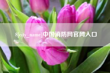 东平中国消防网官网入口