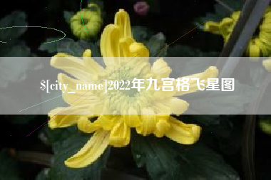 东平2022年九宫格飞星图