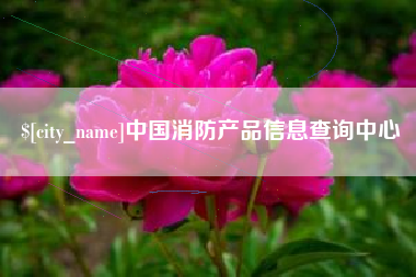 东平中国消防产品信息查询中心