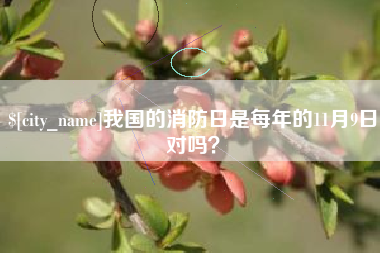 东平我国的消防日是每年的11月9日对吗？