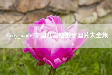 东平中国九宫格数字图片大全集