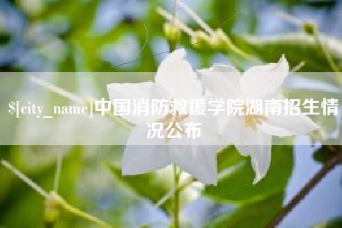东平中国消防救援学院湖南招生情况公布