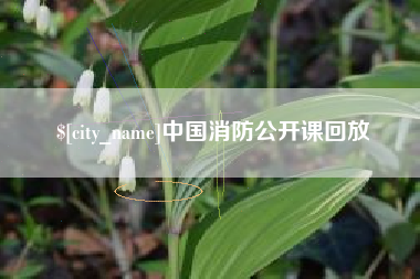 东平中国消防公开课回放