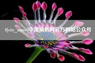 东平中国消防网官方网站公众号