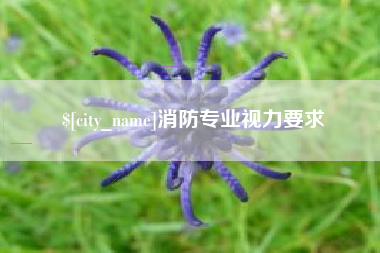 东平消防专业视力要求