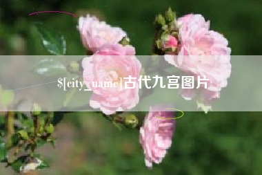 东平古代九宫图片