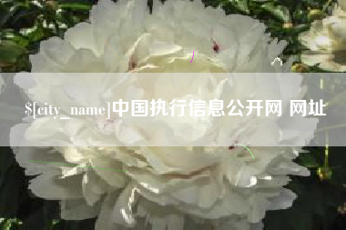 东平中国执行信息公开网 网址