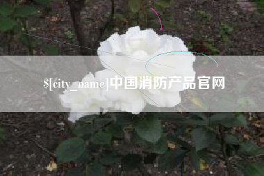 东平中国消防产品官网