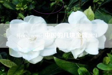 东平中国的几块金牌2021