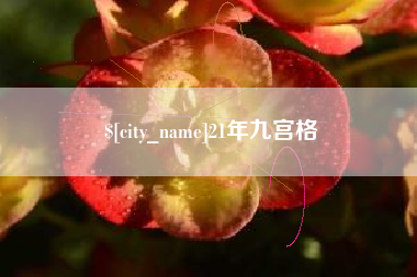 东平21年九宫格