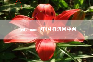 东平中国消防网平台