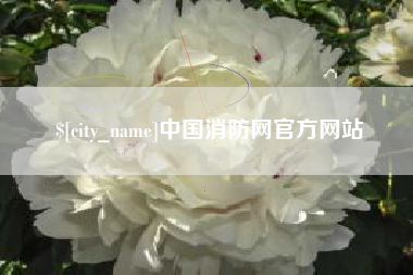 东平中国消防网官方网站