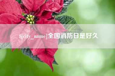 东平全国消防日是好久