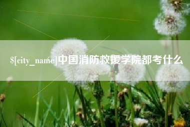 东平中国消防救援学院都考什么