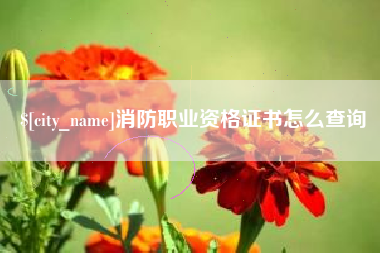 东平消防职业资格证书怎么查询