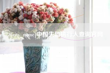 东平中国失信执行人查询官网